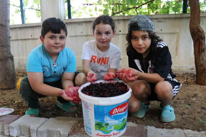 Malatya’da Üretip Dünyanın Dört Bir Yanına Gönderiyorlar