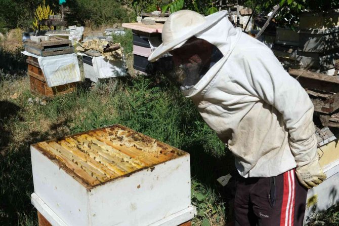 Arıcılar Hasat İçin Gün Sayıyor