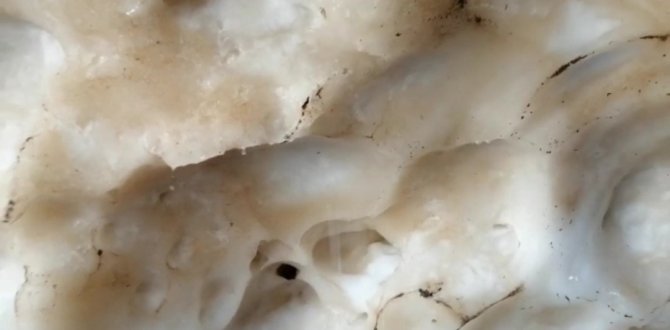 Binboğa Dağlarında Kar Tüneli Keşfedildi