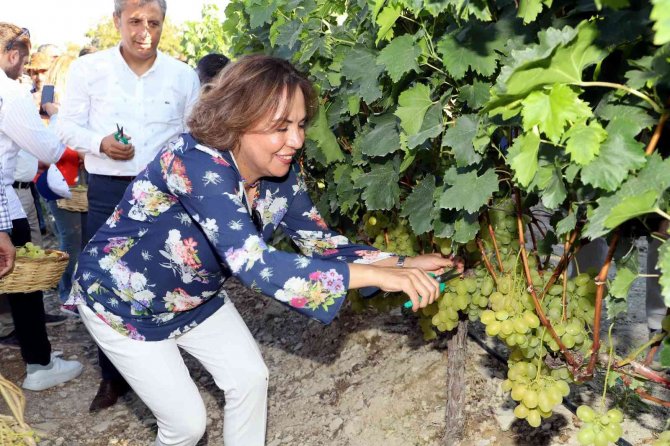 Üreticilerin ’Üzüm Şenliği’ Sevinci