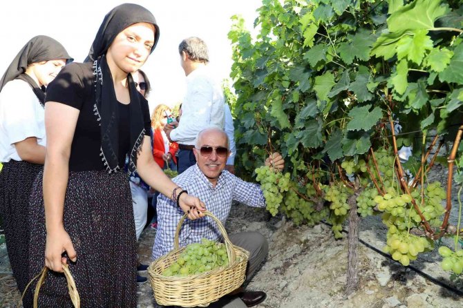 Üreticilerin ’Üzüm Şenliği’ Sevinci