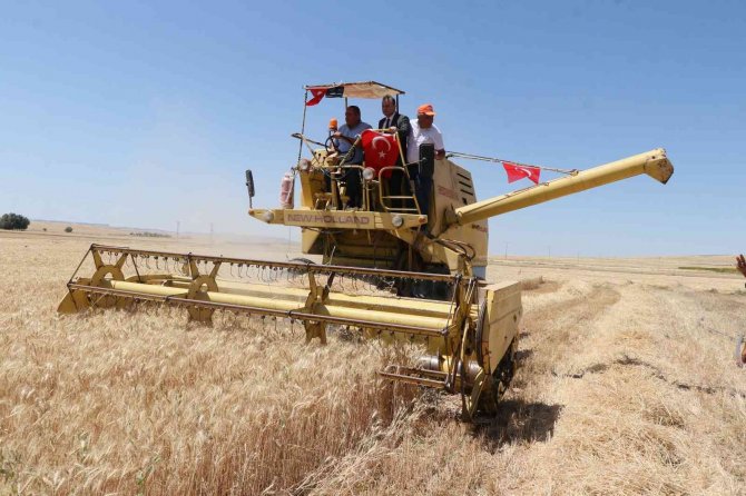 Aksaray’da Halis Ekmeklik Buğdayın Deneme Ekiminin Hasadı Yapıldı