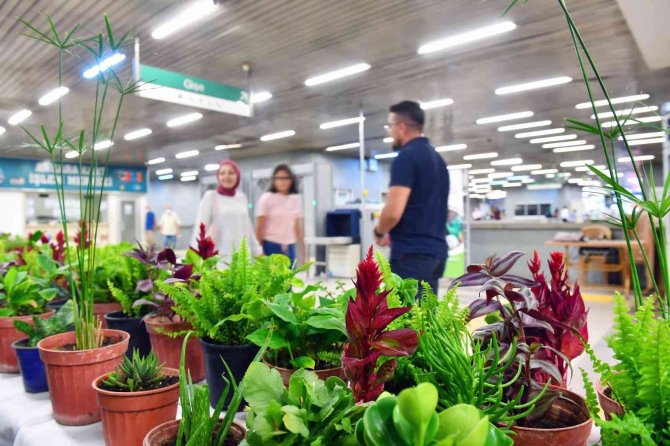 Çiçek Takası Uygulamasının Şimdiki Adresi Beşevler Metrosu Oldu
