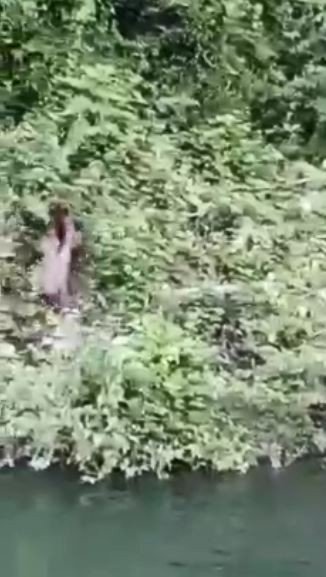 Baraj Gölünde Yüzen Ayı Tekne Turu Ziyaretçileri Tarafından Görüntülendi