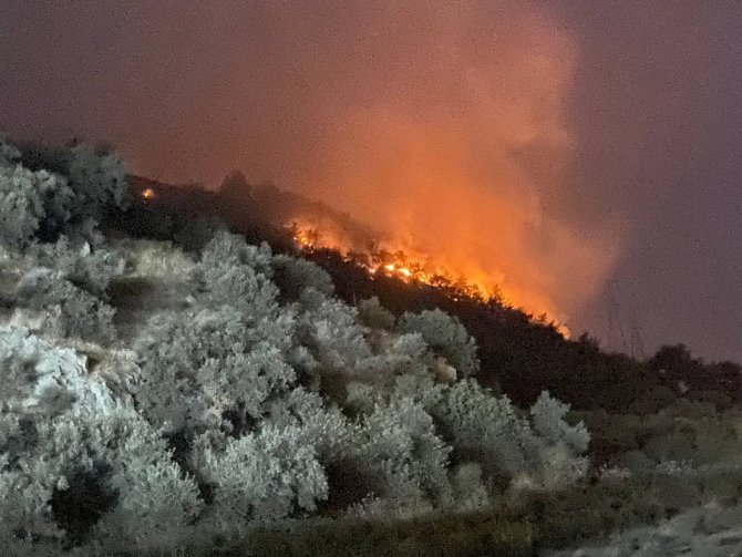Söke’deki Orman Yangınında Alevler Geceyi Aydınlattı