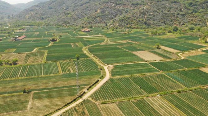 Balıkesir’in Toprağı Büyükşehir İle Bereketleniyor