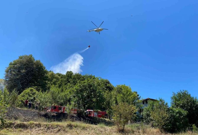 Beykoz Çavuşbaşı’nda Çıkan Orman Yangını Söndürüldü