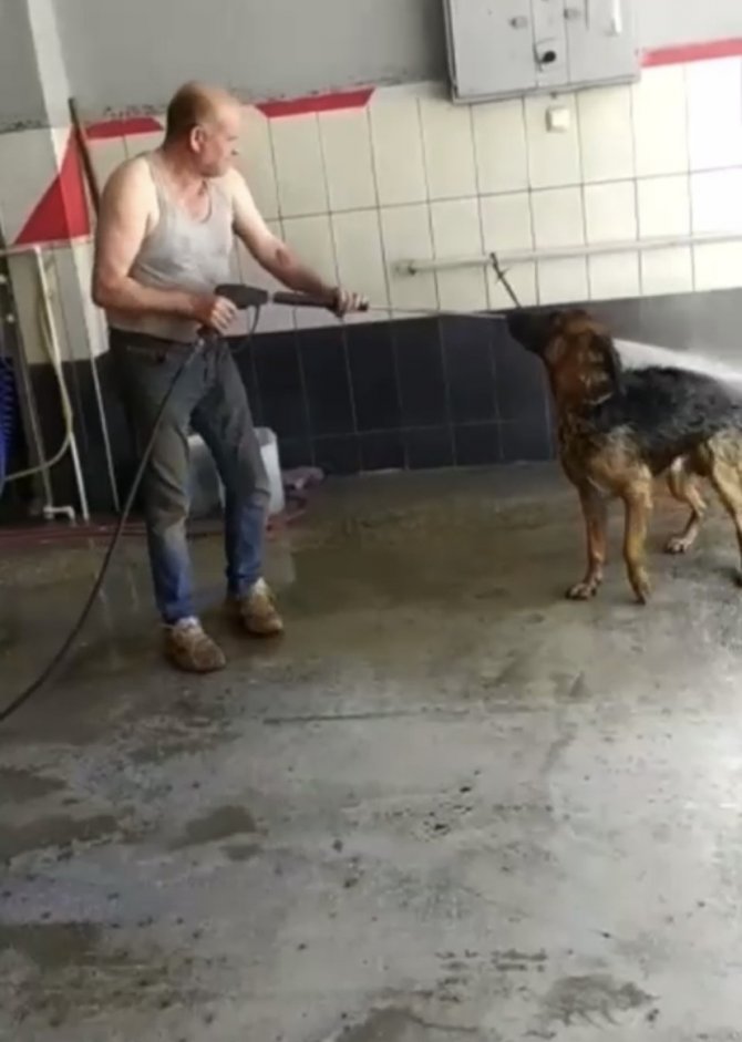 Bursa’da Sıcaktan Bunalan Köpek Böyle Serinletildi