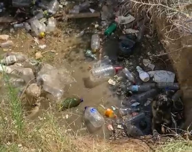 Su Kuyusuna Düşen 2 Köpek İtfaiye Ekiplerince Kurtarıldı