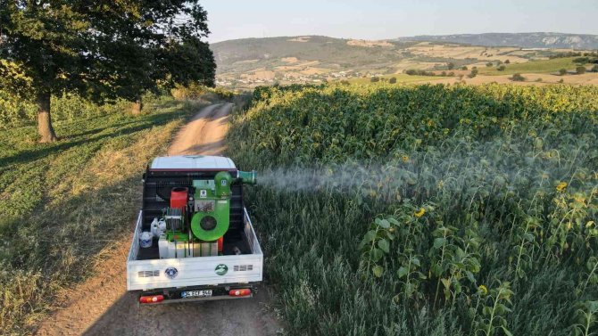 Büyükşehir’de ‘Tırtıl’ Seferberliği