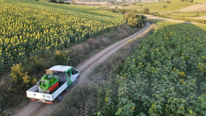 Büyükşehir’de ‘Tırtıl’ Seferberliği