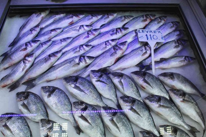 Yaz Aylarında Tezgâhlar Kültür Balıklarına Kaldı