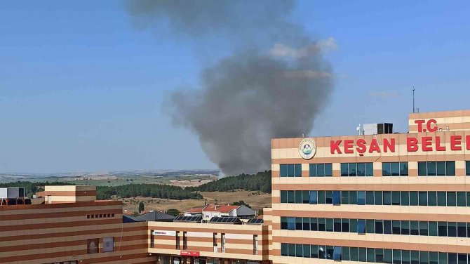 Keşan’da Ormanlık Alanda Yangın Çıktı