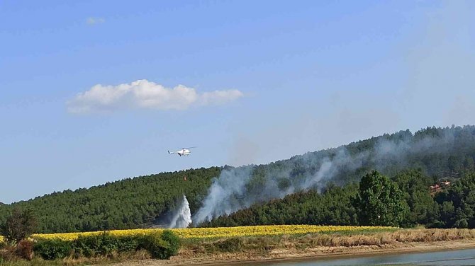 Keşan’da Ormanlık Alanda Yangın Çıktı