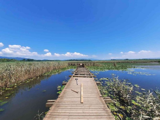 Efteni Gölü’nde İskele Onarımı Başladı