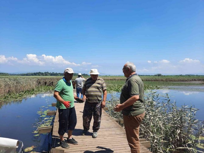 Efteni Gölü’nde İskele Onarımı Başladı
