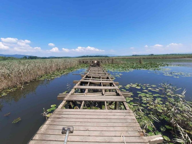 Efteni Gölü’nde İskele Onarımı Başladı