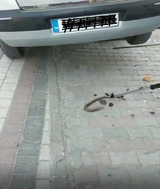 Bursa’da Aracın Aksına Giren Oluklu Kertenkele Operasyonla Çıkarıldı