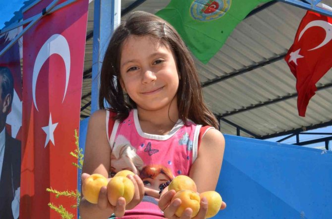 Elbistan’da Kayısı İçin Tarla Günü Etkinliği