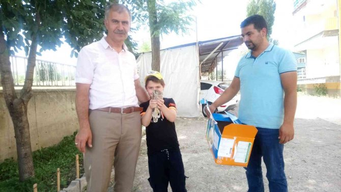 Kars’ta Yaralı Kerkenez Tedavi Altına Alındı