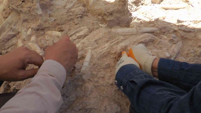 7.5 Milyon Yıllık Tarih Gün Yüzüne Çıkıyor