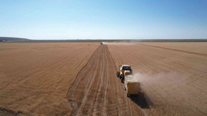 Başkan Altay: “Atıl Arazileri Üretime Kazandırıyoruz, Geliri Sosyal Destekte Kullanıyoruz”