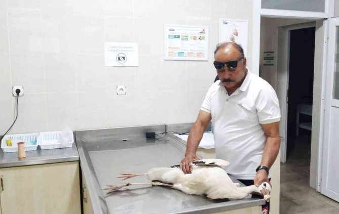 Muhtarın Gözü Leyleklerde