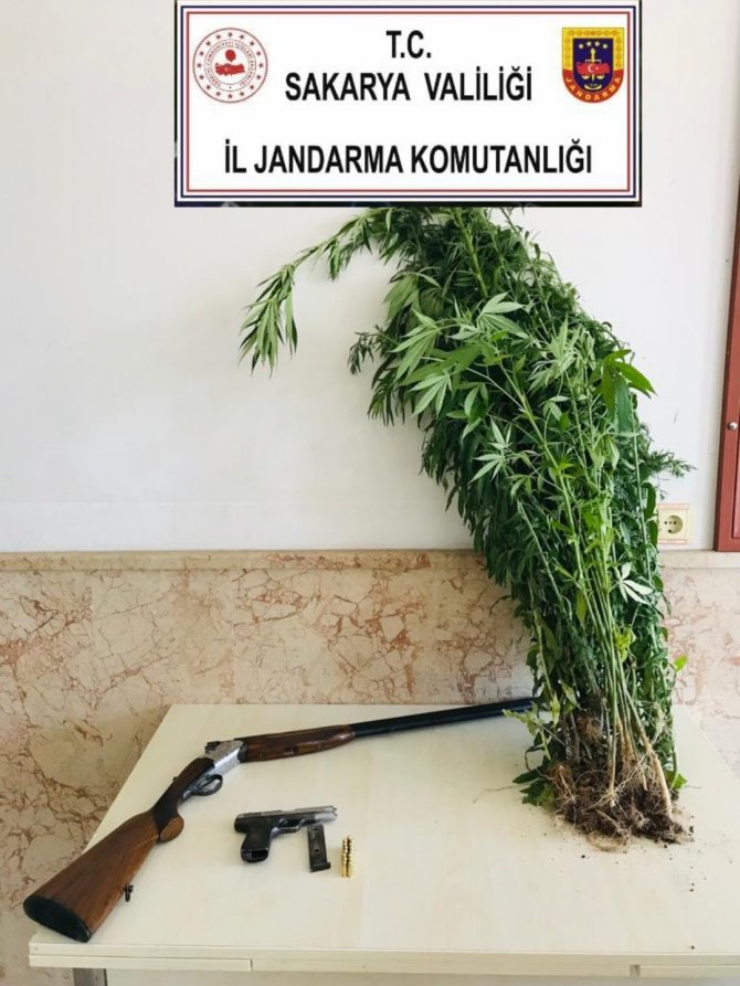 Jandarmadan 2 İlçede Uyuşturucu Operasyonu: 3 Gözaltı