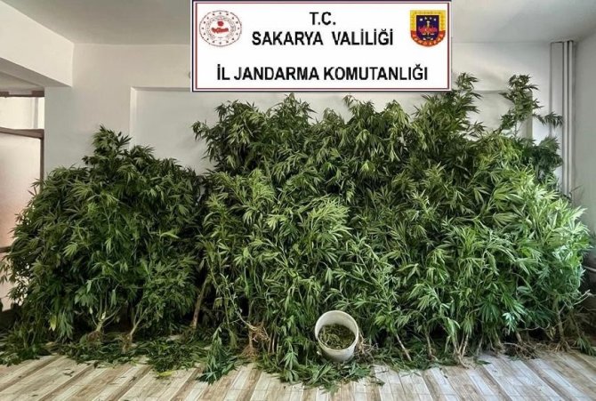Jandarmadan 2 İlçede Uyuşturucu Operasyonu: 3 Gözaltı