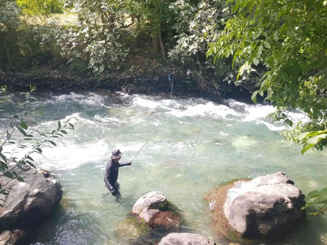Hemşire Güneş’i Arama Çalışmaları 46’ıncı Gününde