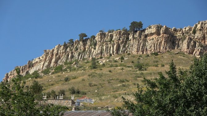 Kayalıkların Üzerinde Yetişen Ağaçlar Şaşkınlığa Neden Oluyor