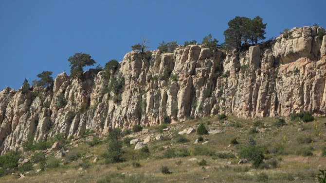 Kayalıkların Üzerinde Yetişen Ağaçlar Şaşkınlığa Neden Oluyor