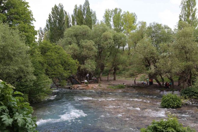 Munzur Ve Pülümür Çayı, Yüzme Suyu Takip Sisteminde