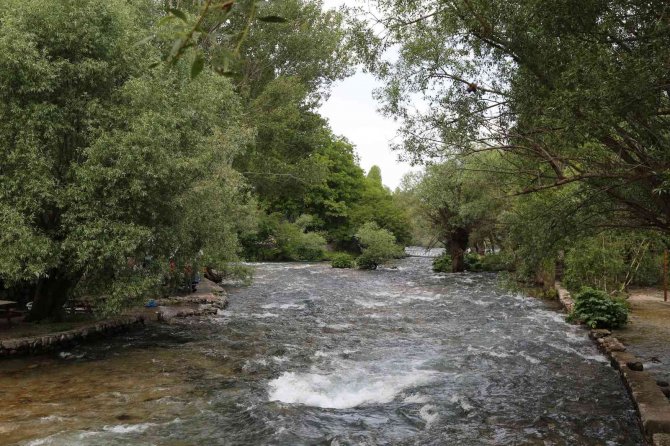 Munzur Ve Pülümür Çayı, Yüzme Suyu Takip Sisteminde