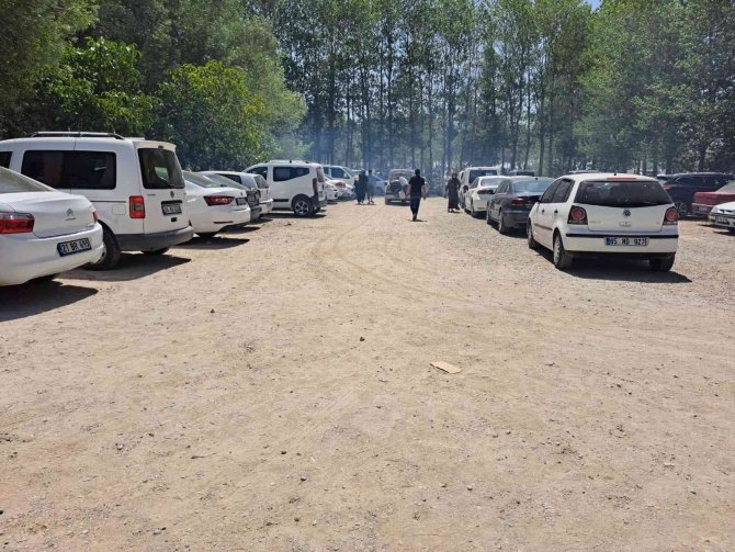 Van Gölü Sahilleri Ege Sahillerini Aratmıyor