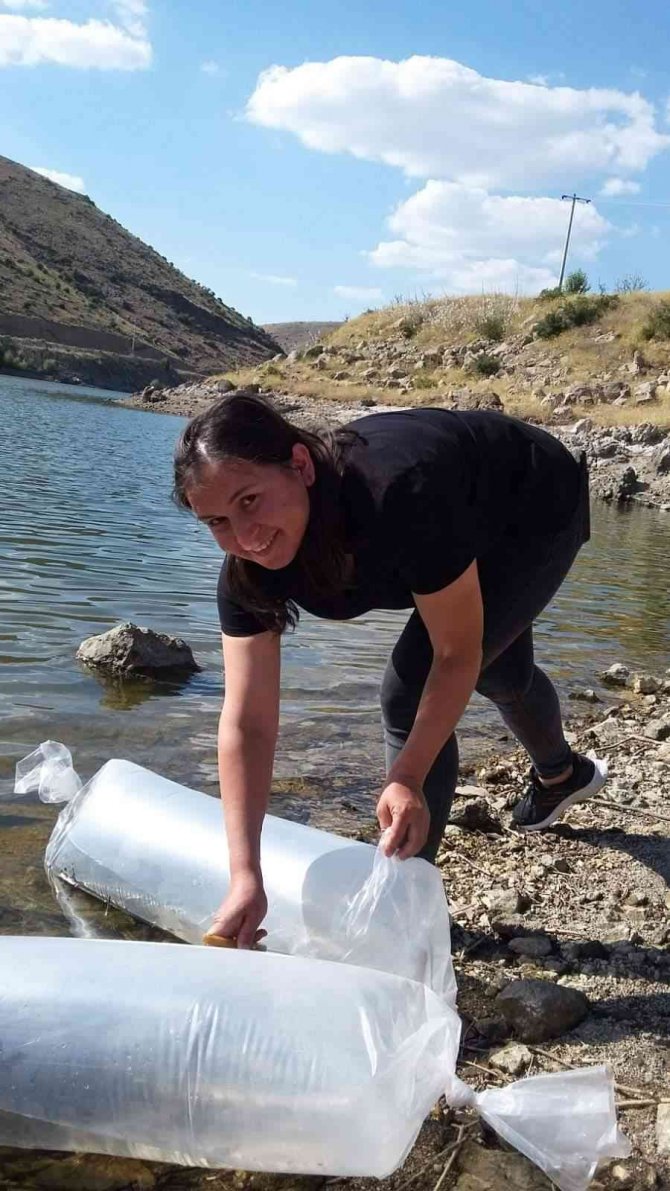 Şuhut’ta Baraj Ve Göletlere 85 Bin Adet Yavru Balık Bırakıldı