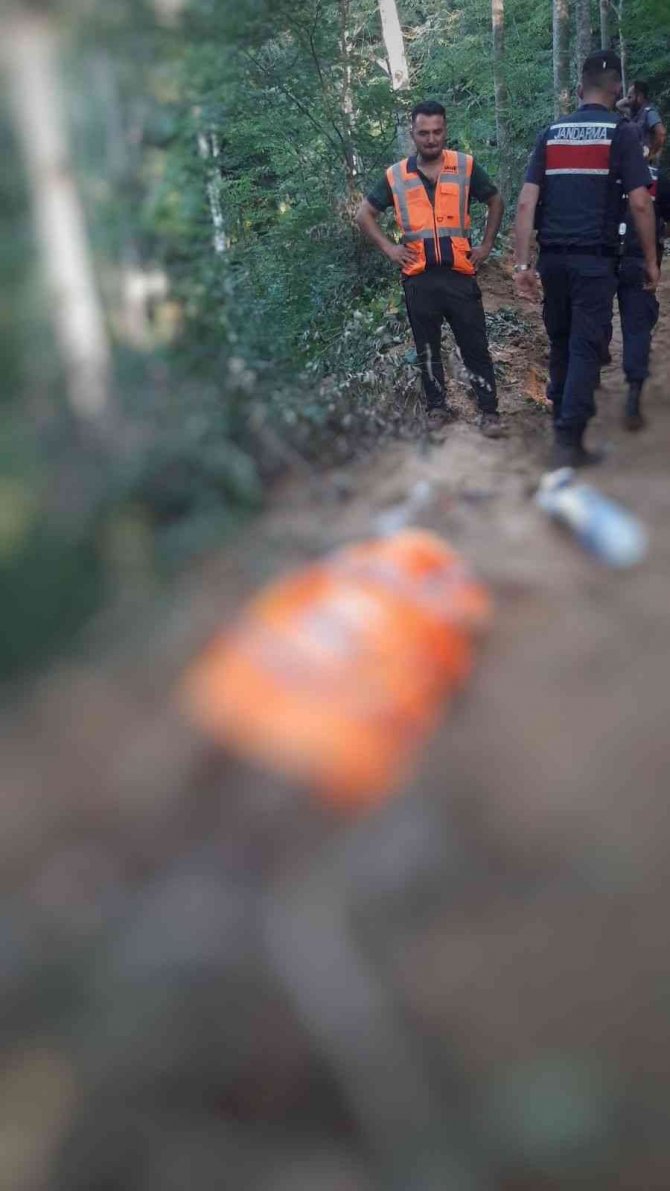Kestiği Ağacın Altında Kalan Orman İşçisi Hayatını Kaybetti