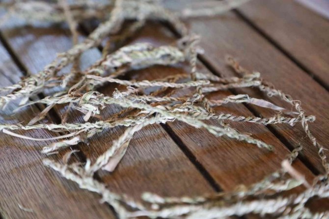 Arkeopark’ta Çağlar Öncesine Yolculuk