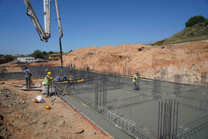 Sokak Hayvanlarına 5 Yıldızlı Rehabilitasyon Merkezi