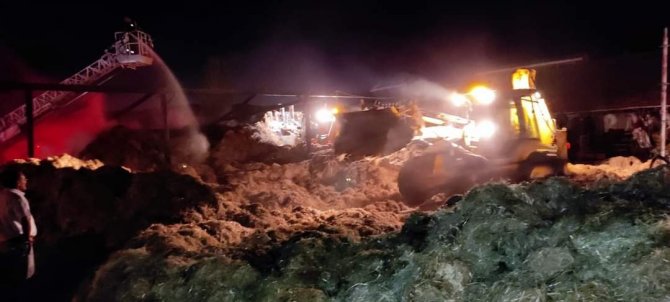 Mandırada Çıkan Yangın Korkuttu