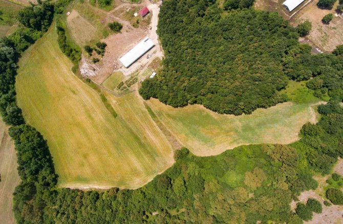 Derince’de Aspir Tohumları Yeşerdi