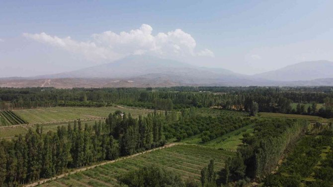 İ̇rem Bağları, Doğal Güzelliği Ve Meyve Sebzesiyle Göz Kamaştırıyor