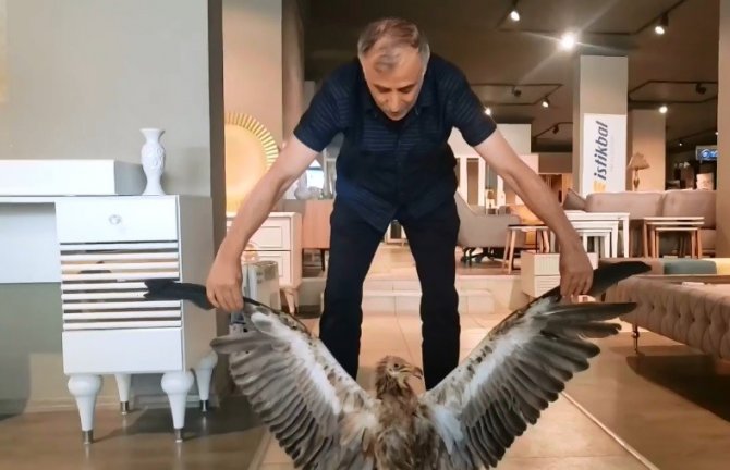 Bitkin Halde Bulunan Kızıl Akbaba, Ekiplere Teslim Edildi