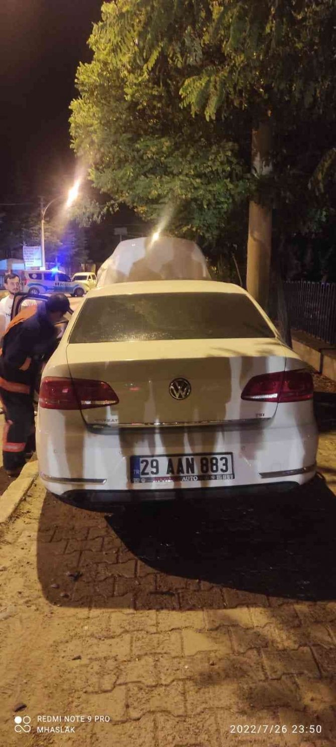 Gümüşhane’de Hatalı Sollama Sonucu İki Otomobil Kafa Kafaya Çarpıştı: 2 Yaralı