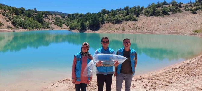 Hisarcık’ta Baraj Ve Göletlere 40 Bin Yavru Sazan Balığı Bırakıldı