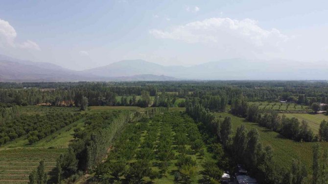 İ̇rem Bağları, Doğal Güzelliği Ve Meyve Sebzesiyle Göz Kamaştırıyor