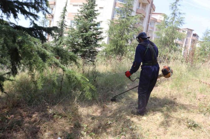 İ̇zmit Belediyesi’nden Alikahya’da Tırpan Mesaisi