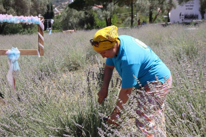 Bodrum’da Tarım Kampı Katılımcıları Sertifikalarını Aldı