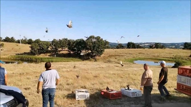 Kırklareli’nde Doğaya Bin Keklik Salındı