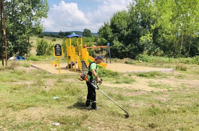 Körfez’de Yabani Ot Biçme Çalışmaları Sürüyor